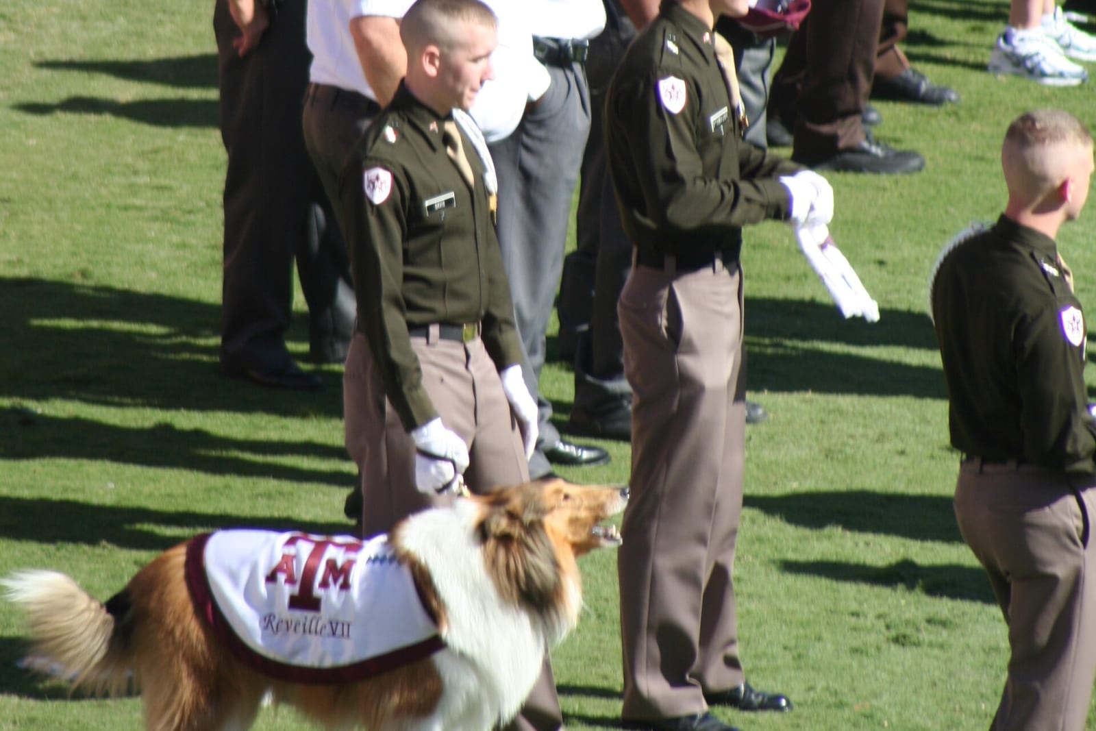 Reveille, the Texas A&M collie, in her maroon blanket beside Corps of Cadets members
